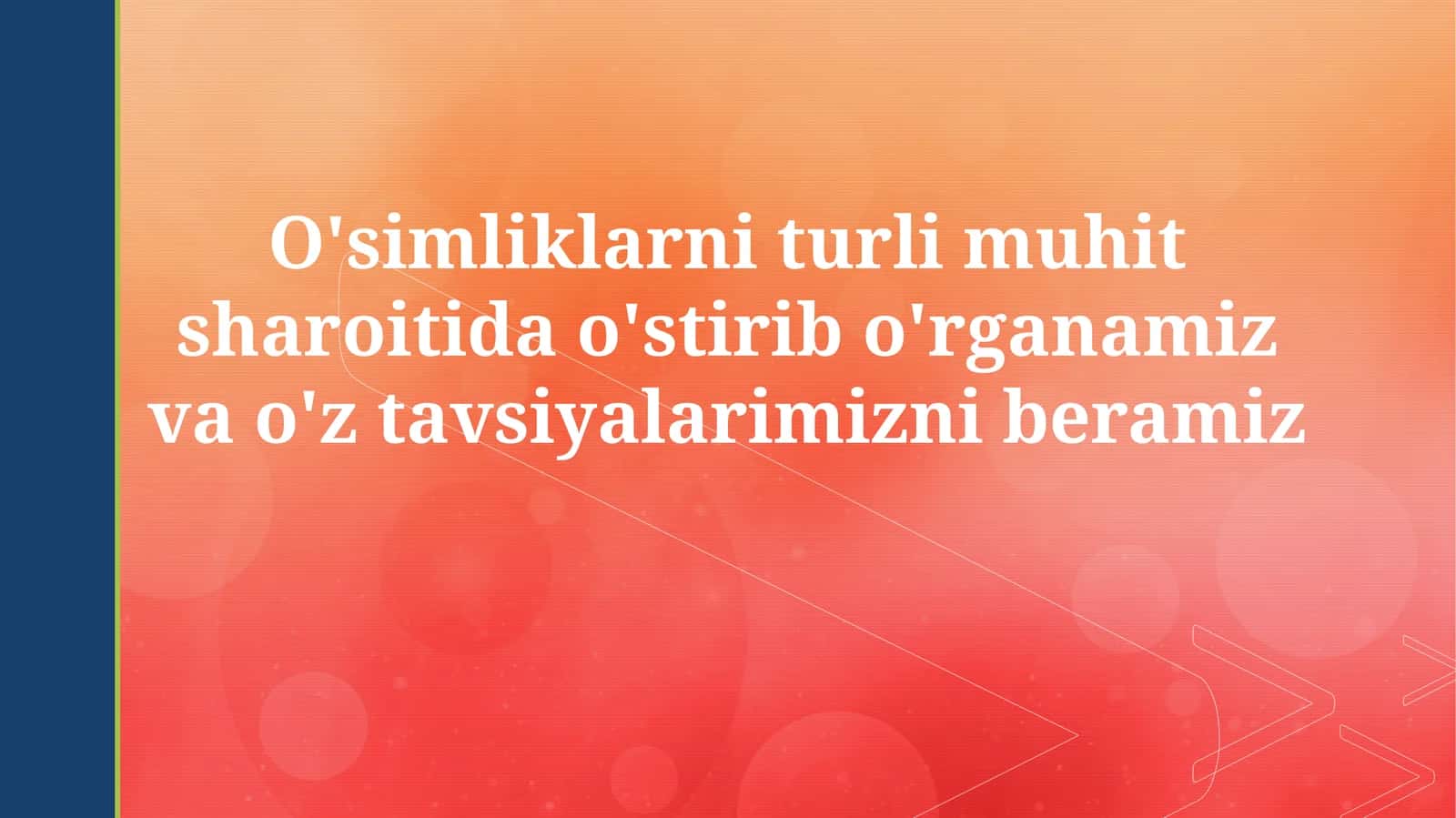 O'simliklarning turli muhit sharoitida o'stirib o'rganamiz va o'ztavsiyalarimizniberamiz 1