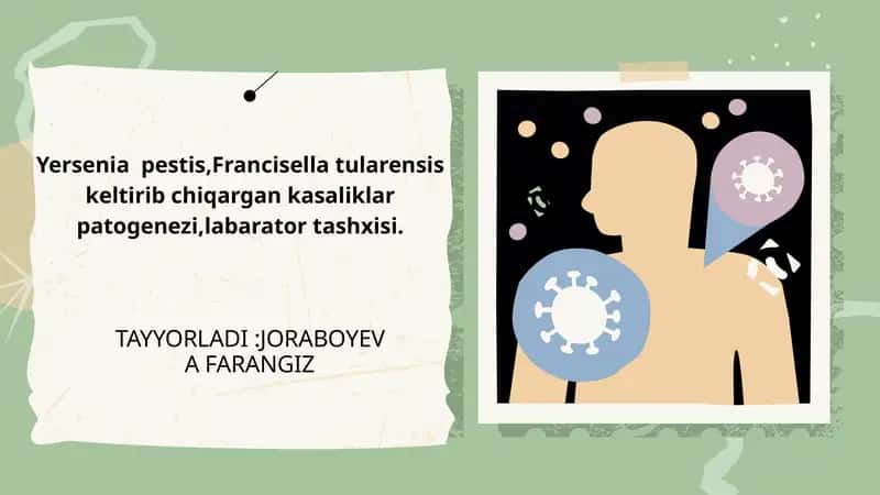 Yersenia pestis,Francisella tularensis Keltirib Chiqargan Kasaliklar Patogenezi 1