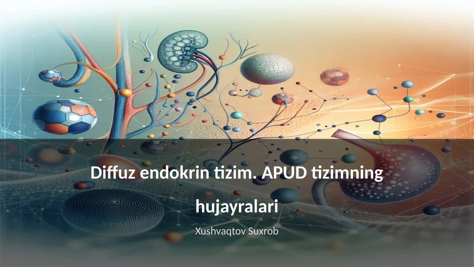 Diffuz endokrin tizim. APUD tizimning hujayralari 1