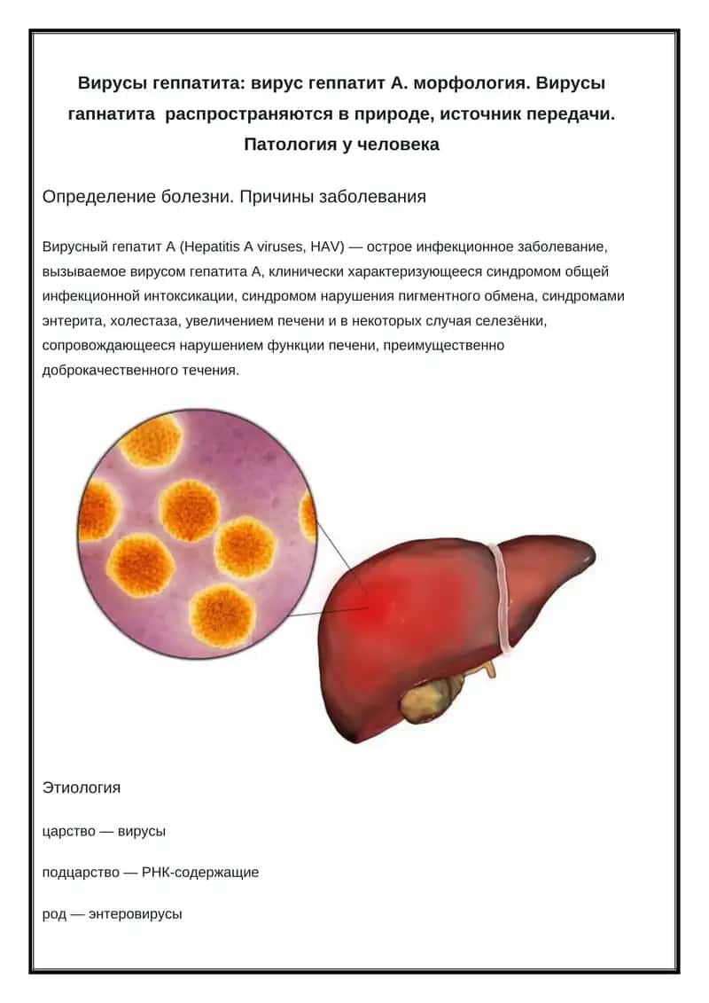 Вирус геппатит А 1