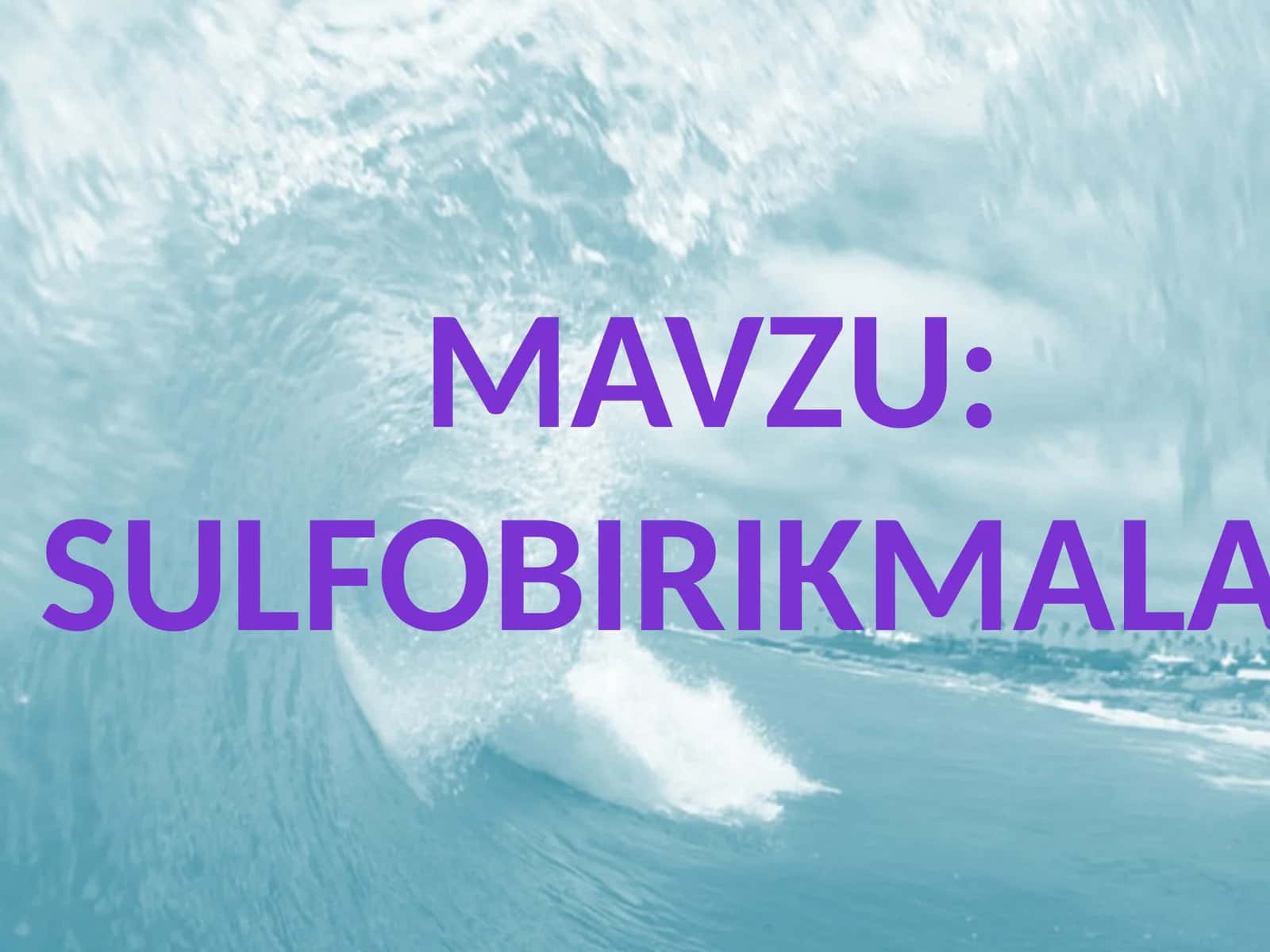 Sulfobirikmalar 1