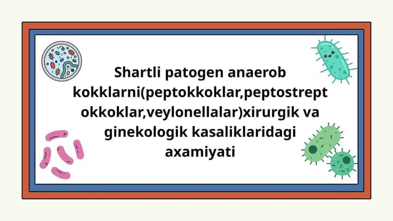 Shartli patogen anaerob kokklarni(peptokkoklar,peptostreptokkoklar,veylonellalar)xirurgik va ginekologik kasaliklaridagi axamiyati 1