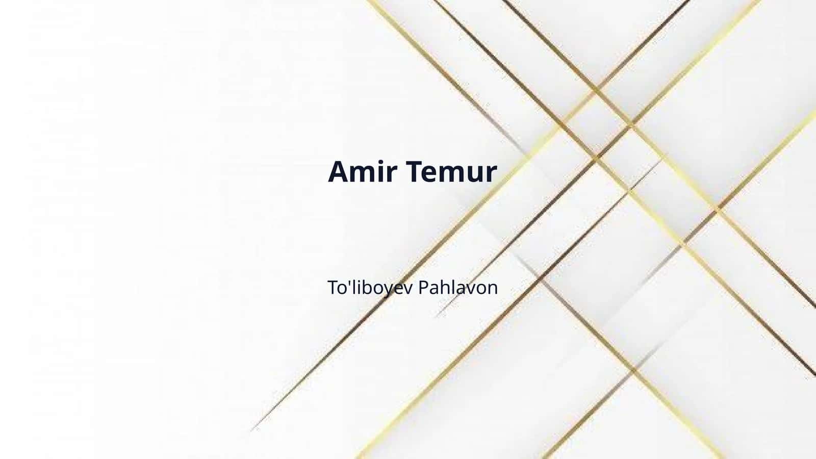 Amir Temur 1