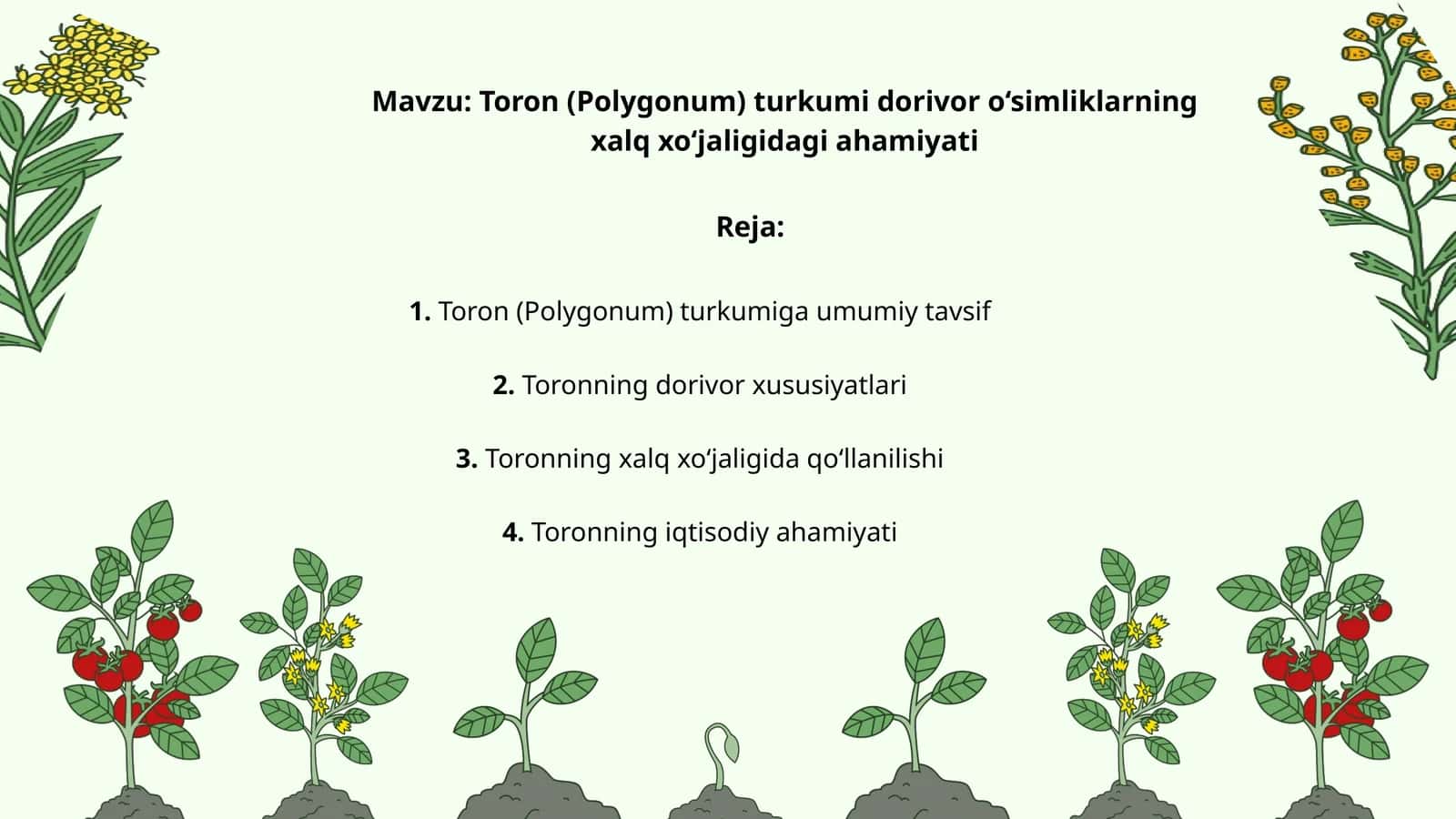Toron (Polygonum) turkumi dorivor o‘simliklarning xalq xo‘jaligidagi ahamiyati 1