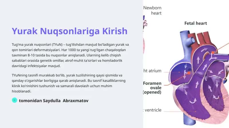 Yurak Nuqsonlariga Kirish 1