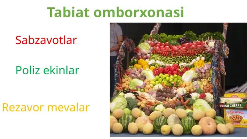 Tabiat omborxonasi 1