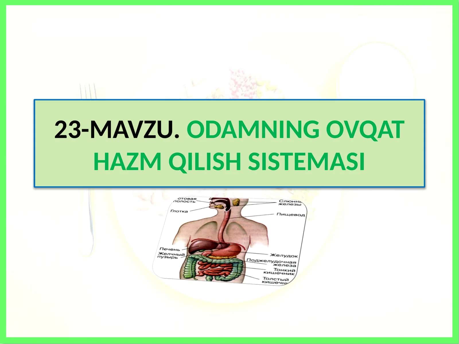 Odamning ovqat hazm qilish sistemasi 1