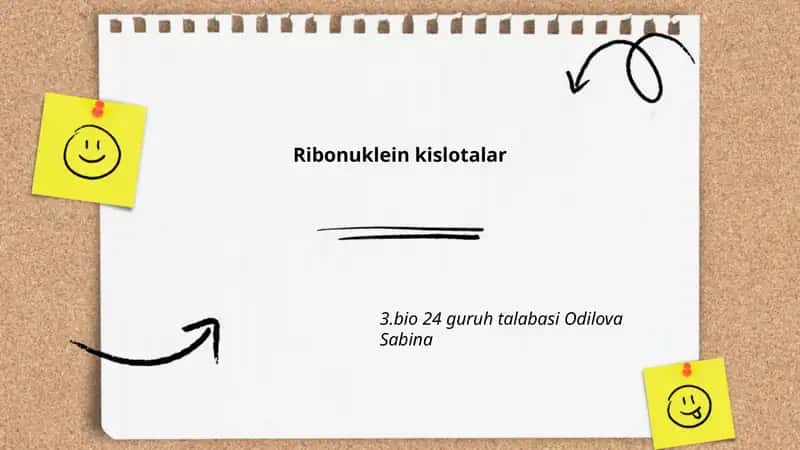 Ribonuklein kislotalar 1