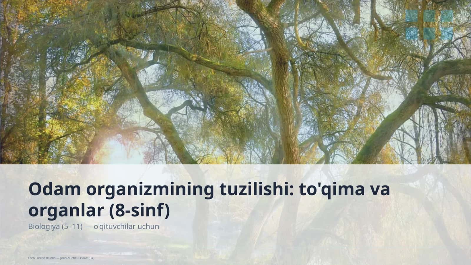 Odam organizmining tuzilishi: to'qima va organlar (8-sinf) 1