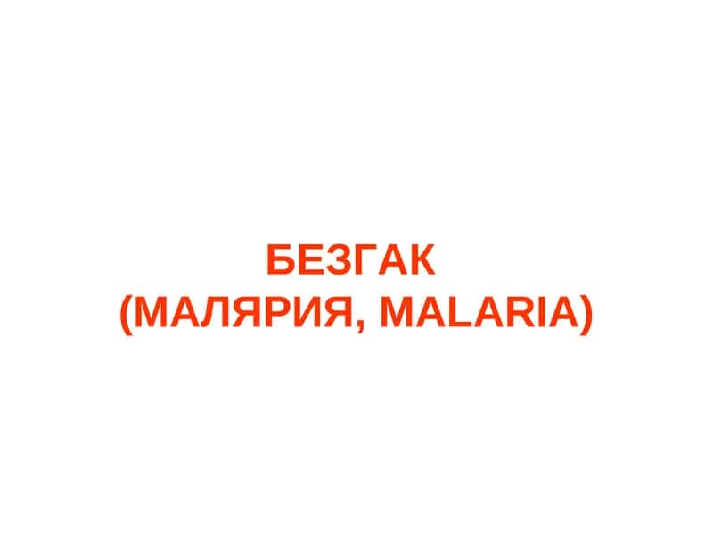 БЕЗГАК(МАЛЯРИЯ,MALARIA) 1