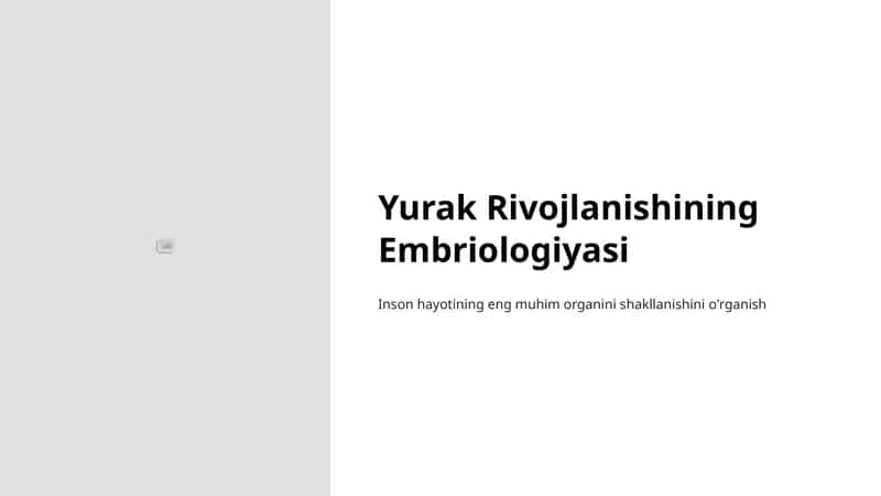 Yurak Rivojlanishining Embriologiyasi 1
