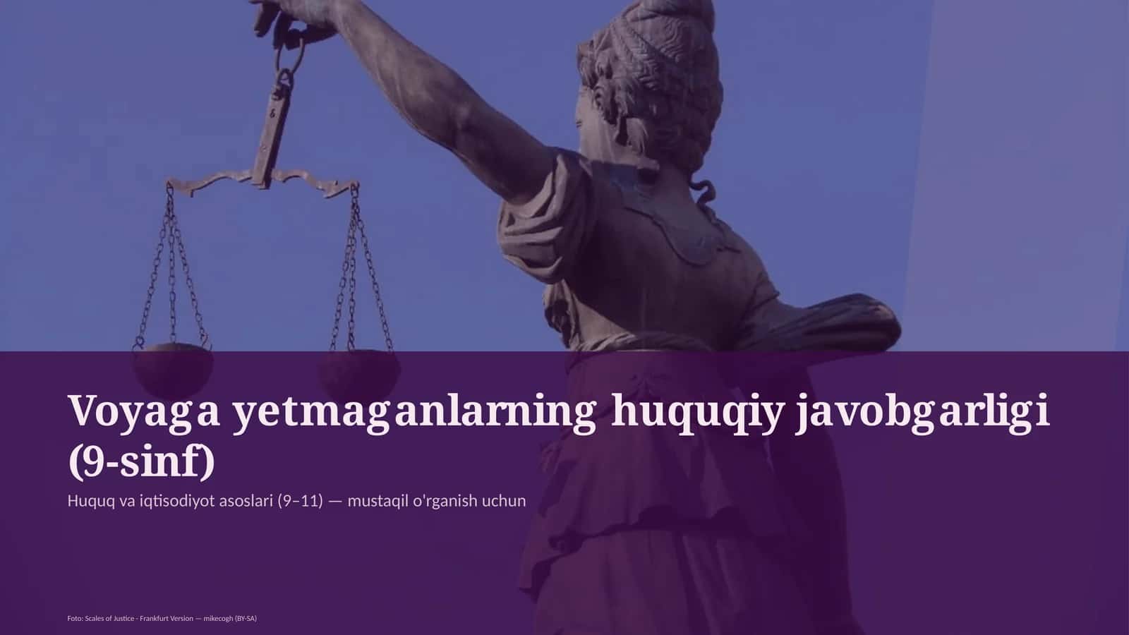 Voyaga yetmaganlarning huquqiy javobgarligi (9-sinf) 1