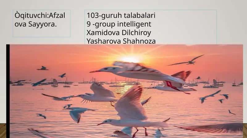Kòrish ORGANLARINING TUZILISHI 1
