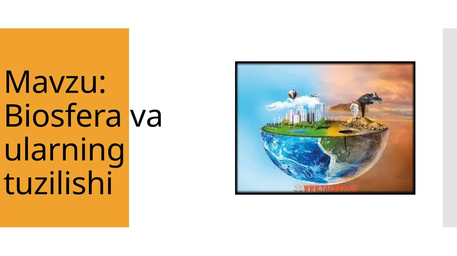 Biosfera va ularning tuzilishi 1