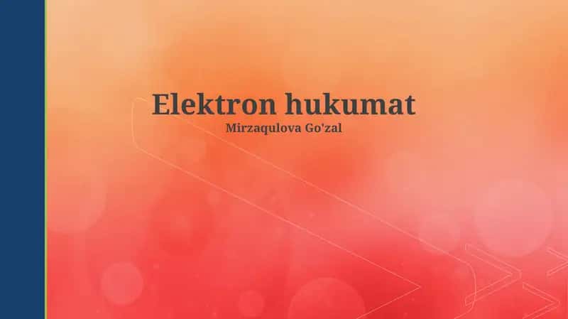 E-hukumat 1