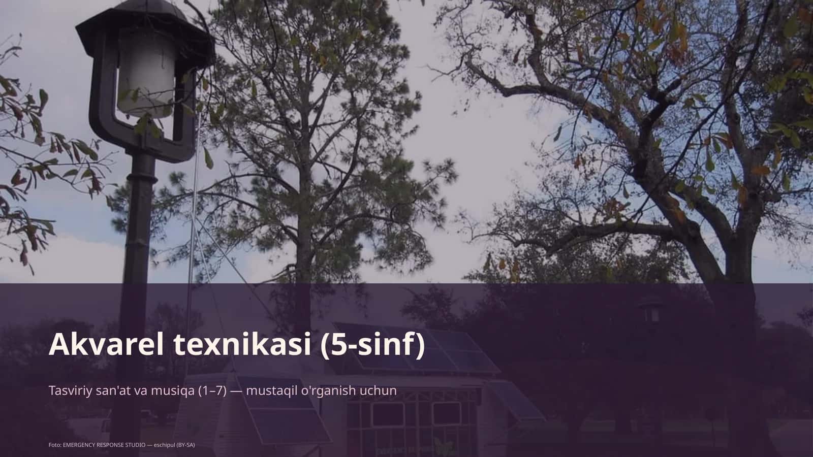 Akvarel texnikasi (5-sinf) 1