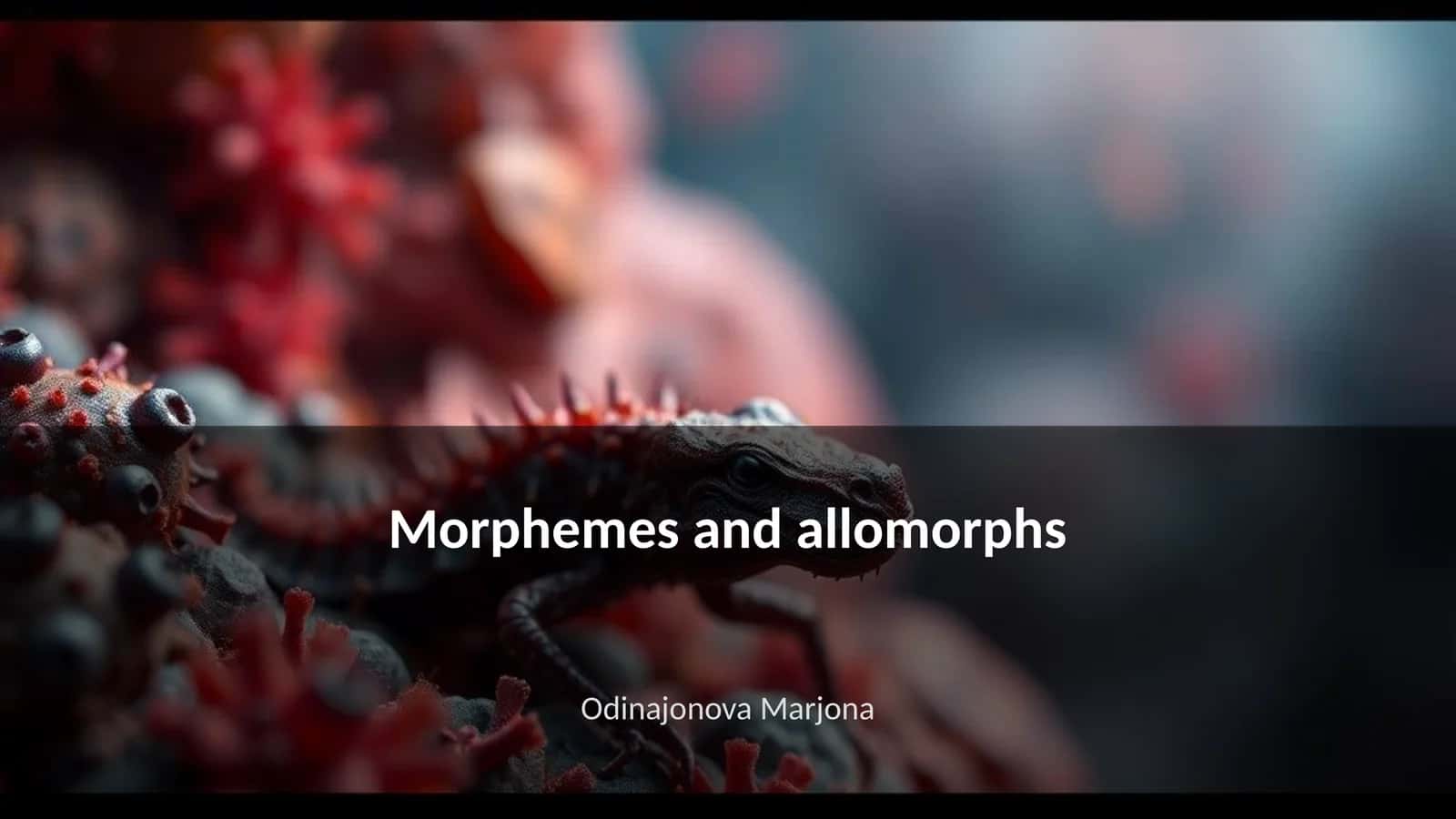 Morphemes and allomorphs 1