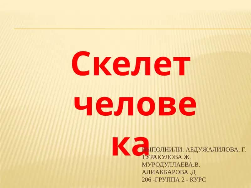 Скелет 1