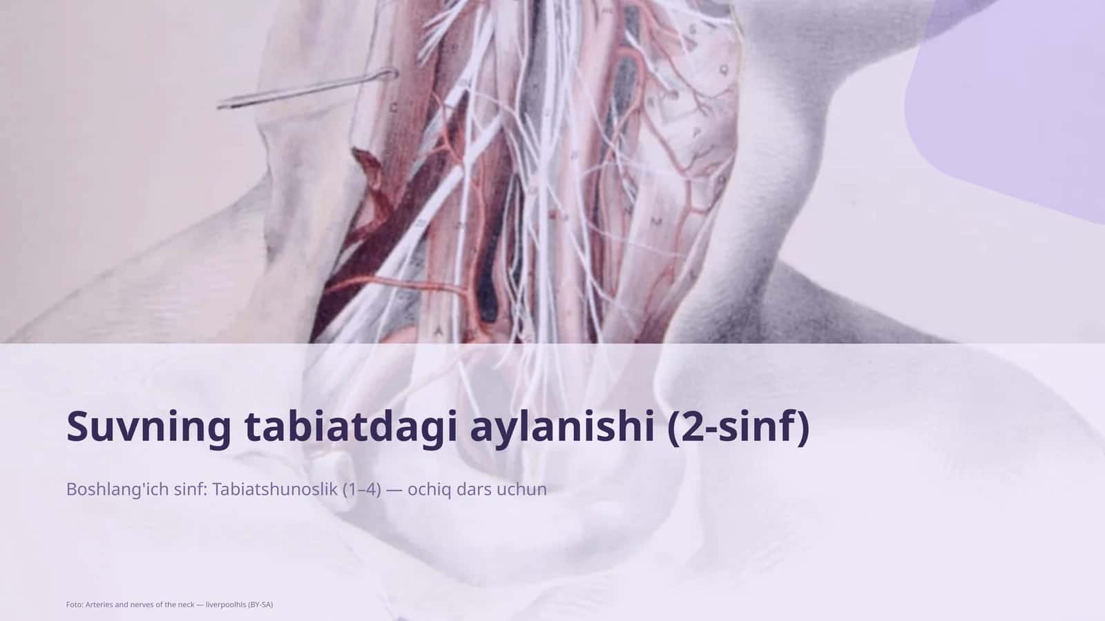 Suvning tabiatdagi aylanishi (2-sinf) 1