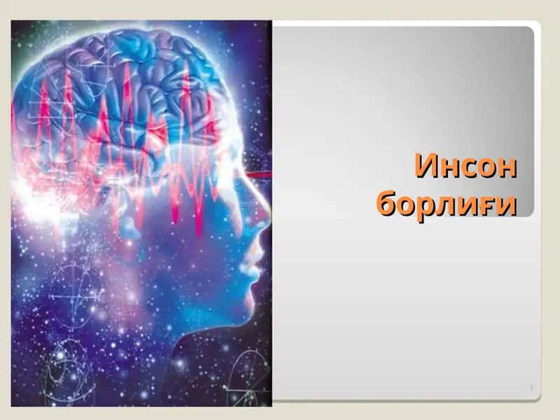Инсон борлиғи 1