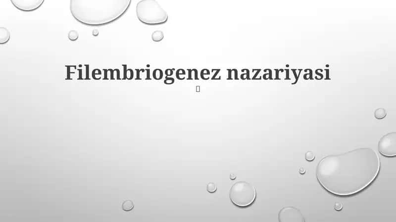 Filembriogenez nazariyasi 1