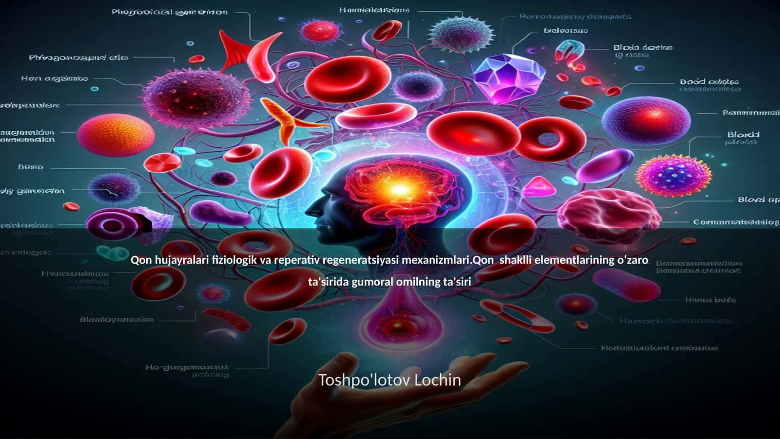 Qon hujayralari fiziologik va reperativ regeneratsiyasi mexanizmlari 1