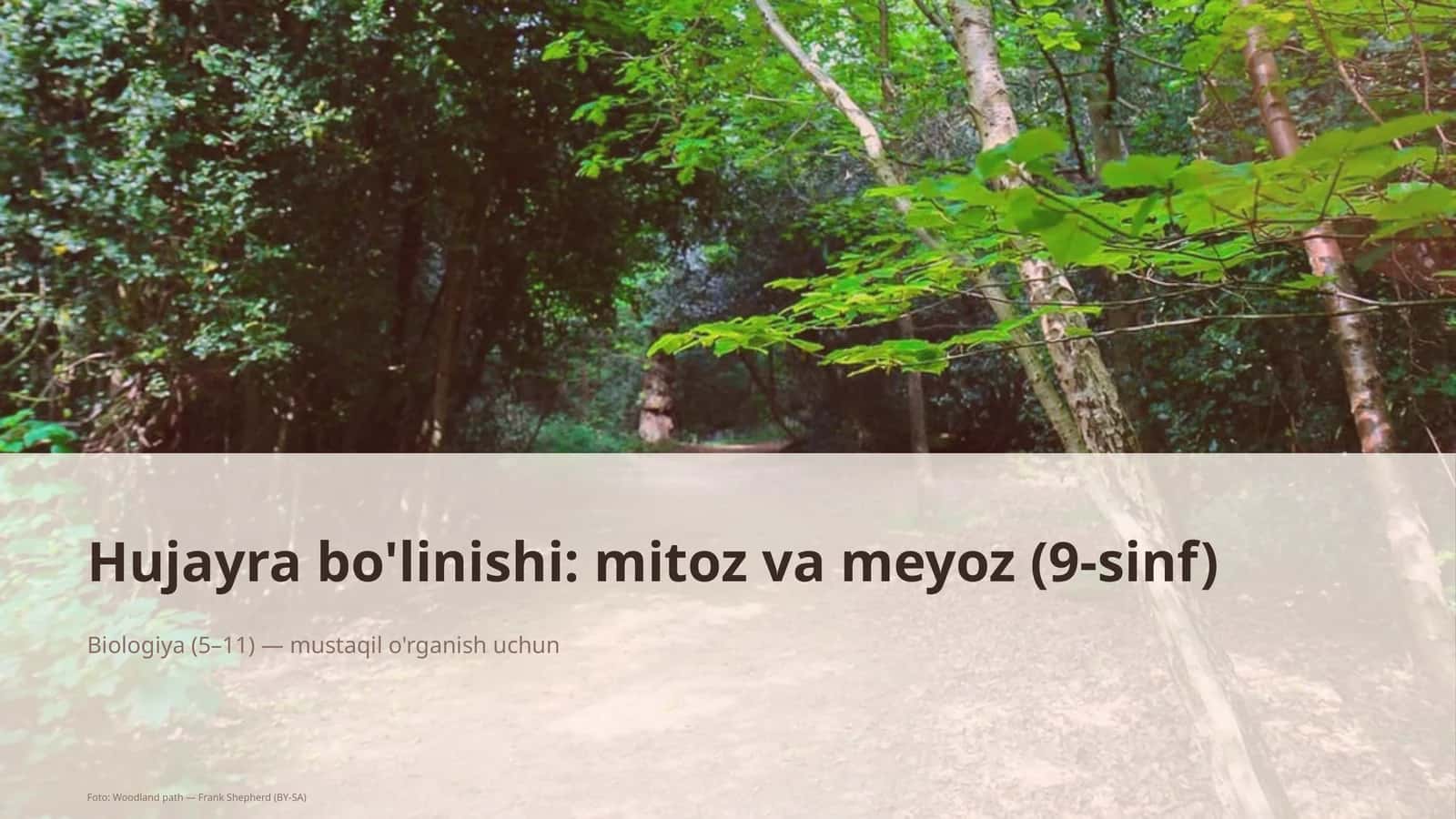 Hujayra bo'linishi: mitoz va meyoz (9-sinf) 1