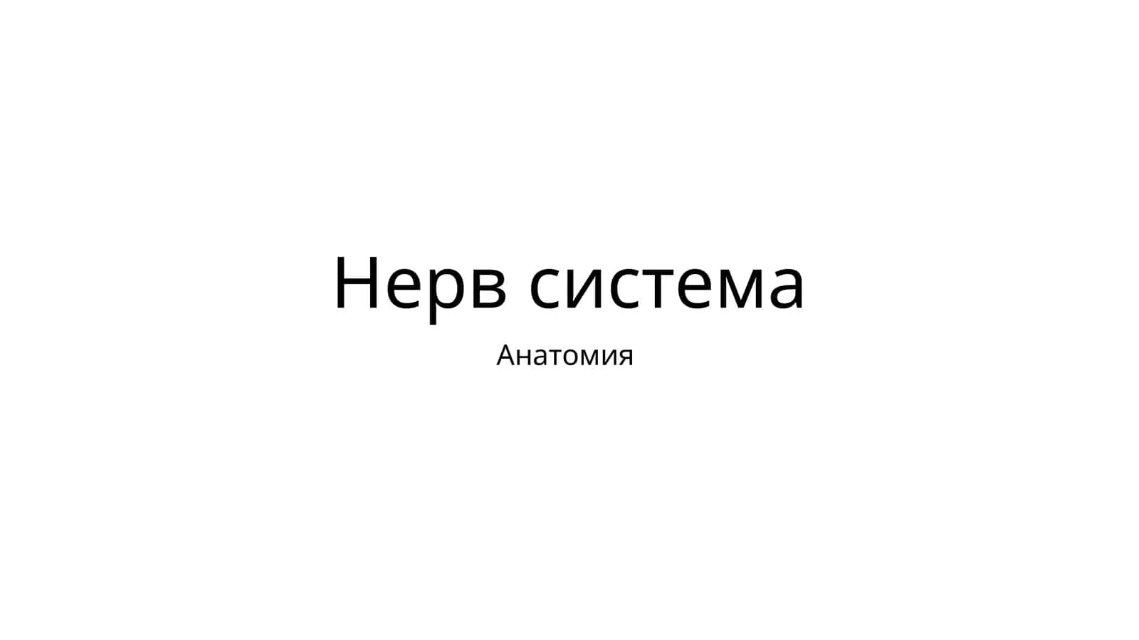 Нерв система 1