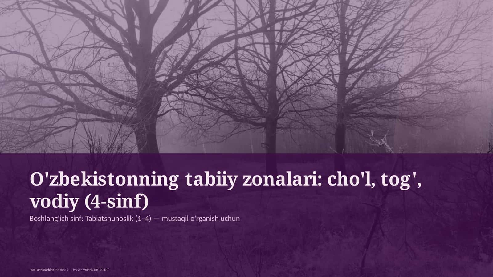 O'zbekistonning tabiiy zonalari: cho'l, tog', vodiy (4-sinf) 1