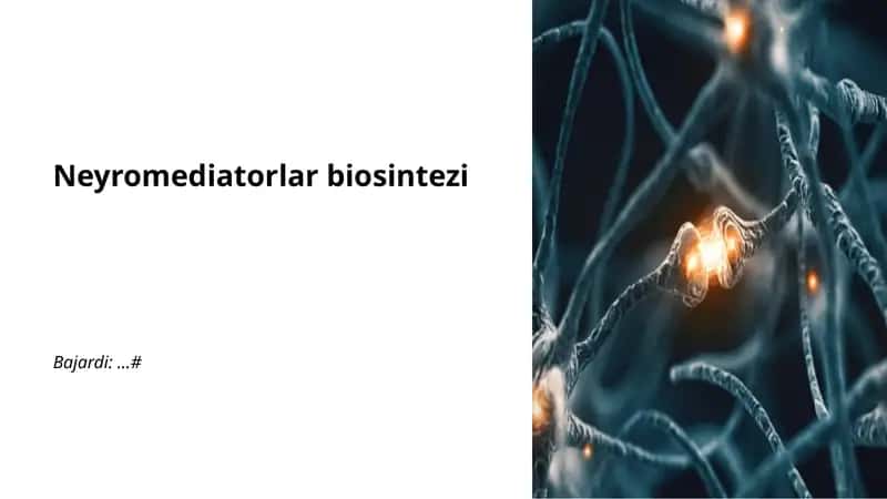 Neyromediatorlar biosintezi 1