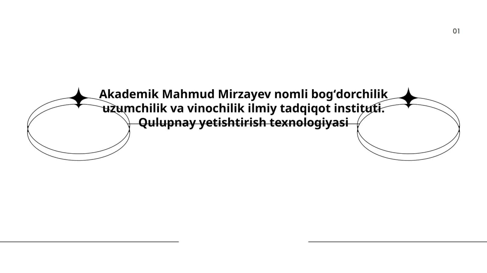Qulupnay Yetishtirish Texnologiyasi 1