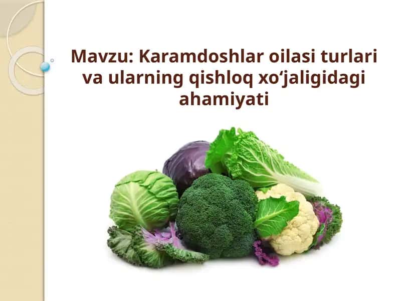 Karamdoshlar oilasi turlari va ularning qishloq xoʻjaligidagi ahamiyati 1