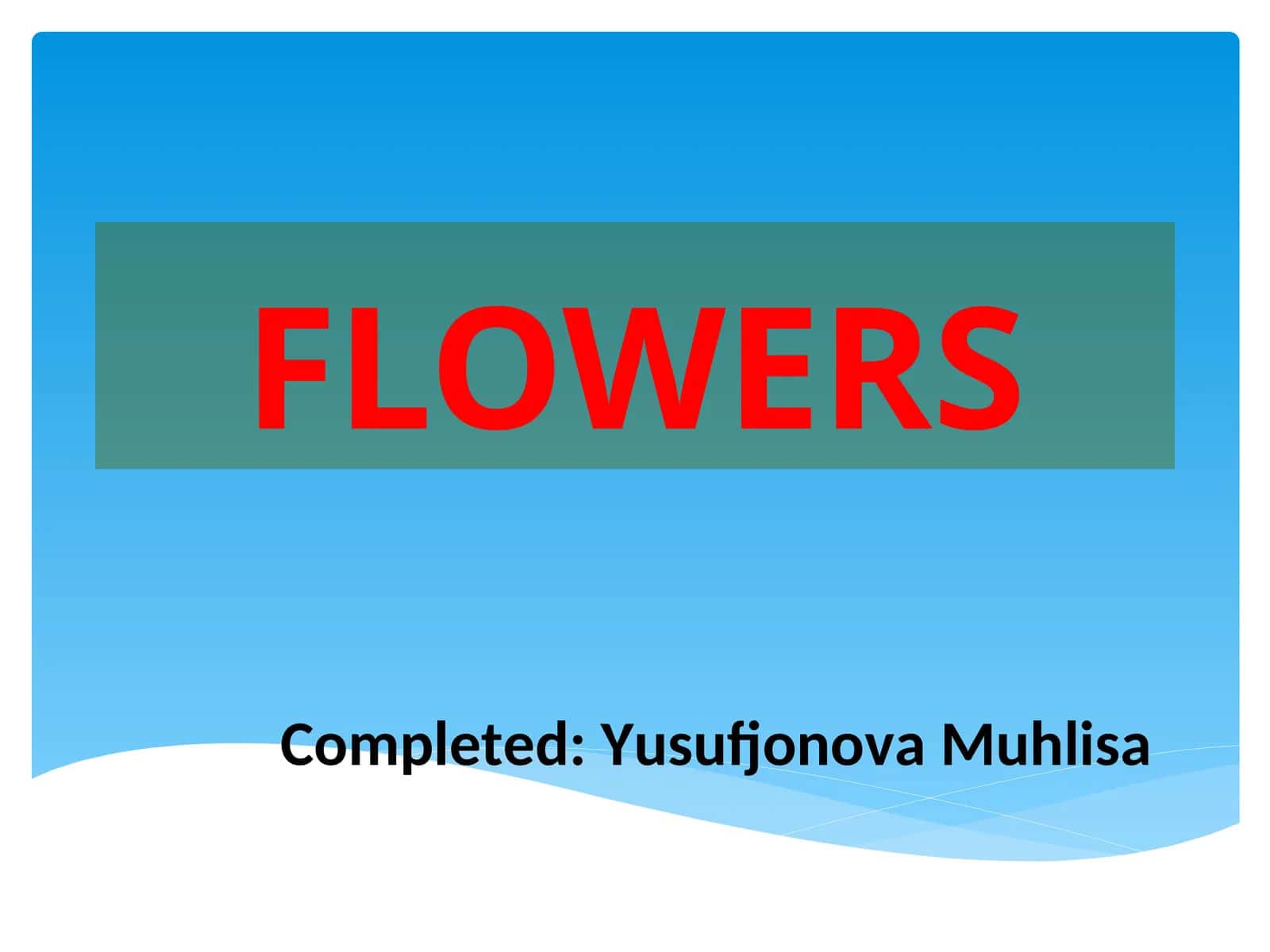 Гвоздика 1