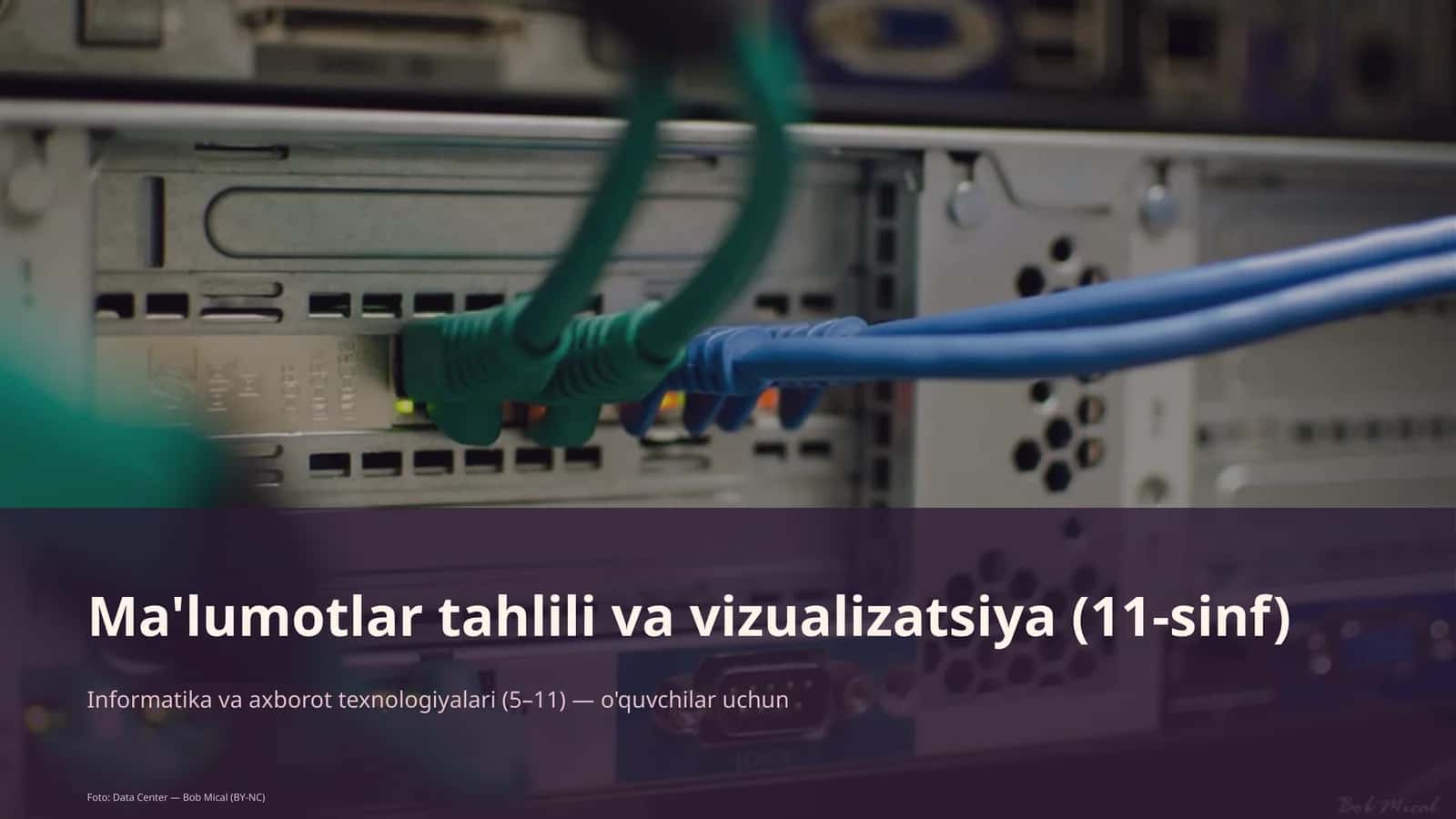 Ma'lumotlar tahlili va vizualizatsiya (11-sinf) 1