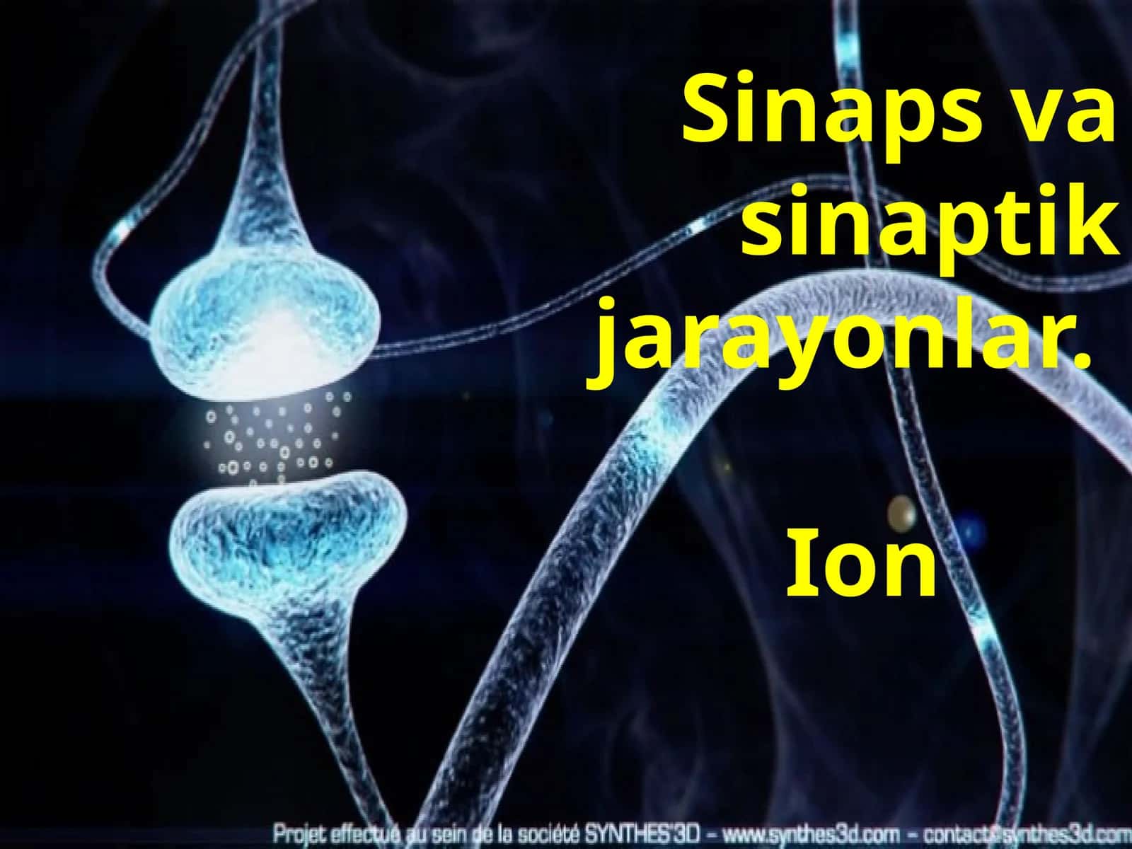 Neyrobiologiya 1