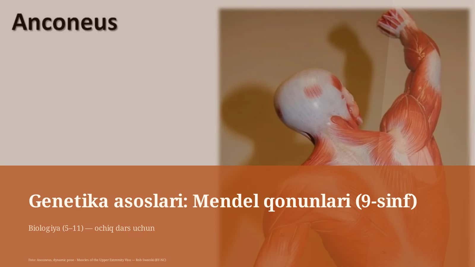 Genetika asoslari: Mendel qonunlari (9-sinf) 1