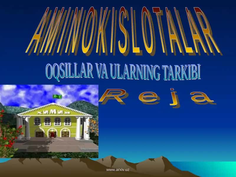A M I N O K I S L O T A L A R 1