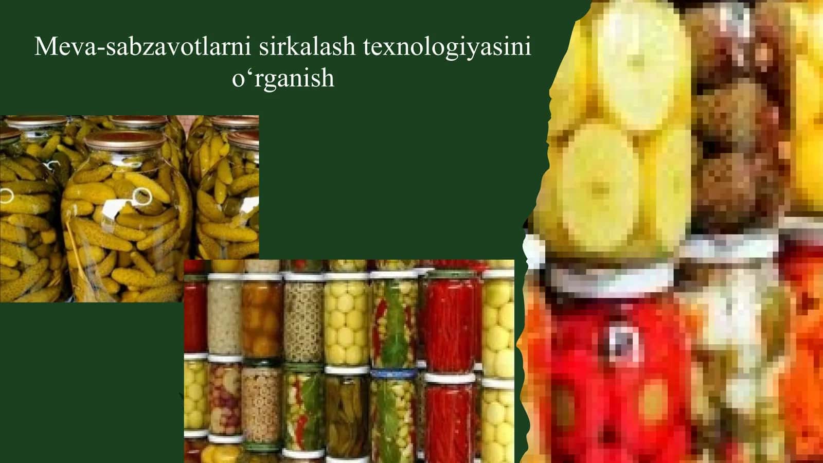 Meva-sabzavotlarni sirkalash texnologiyasini o‘rganish 1