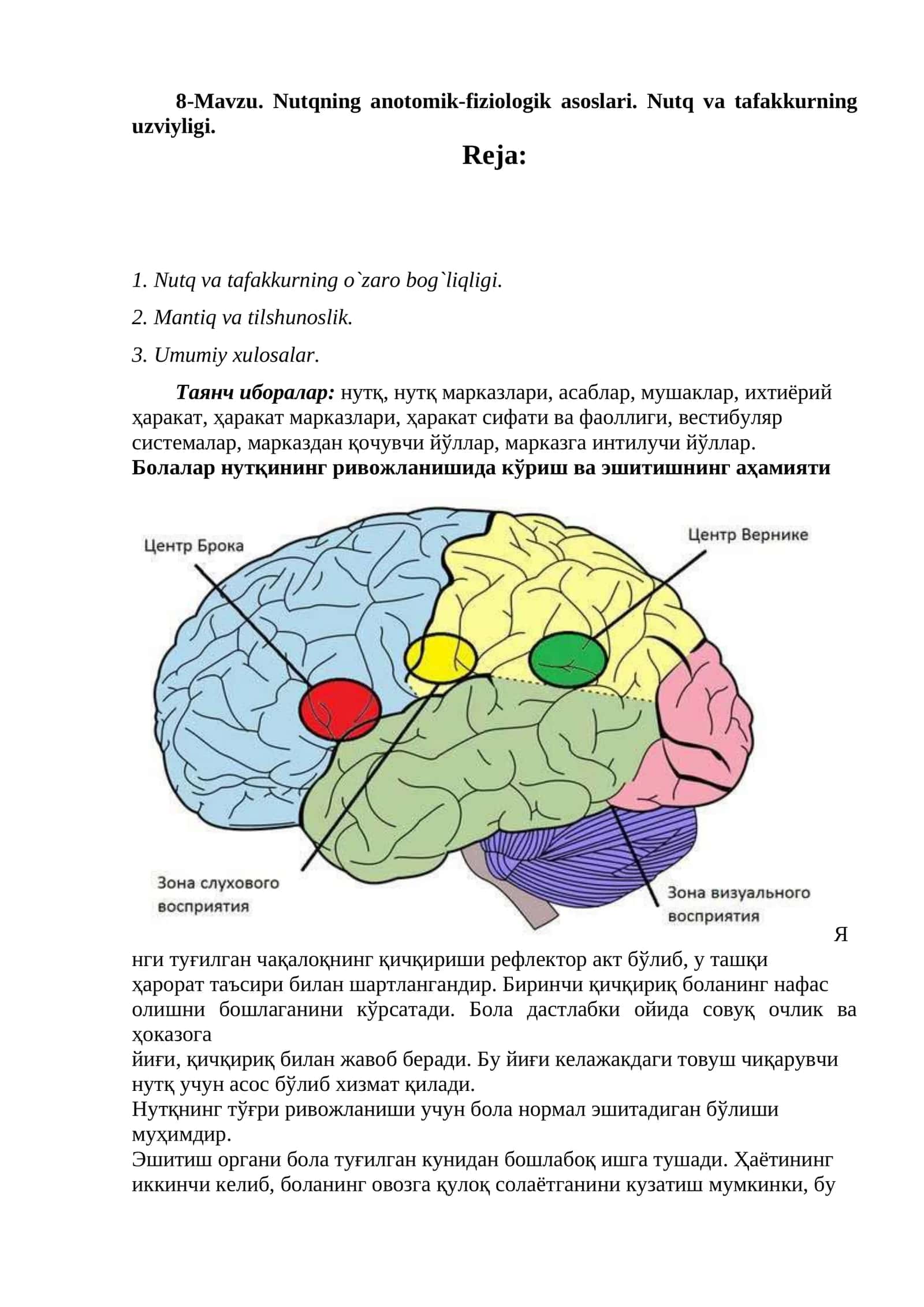 Nutqning anatomik-fiziologik asoslari. Nutq va tafakkurning uzviyligi 1
