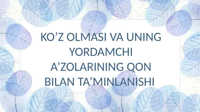 Ko'z olmasi va uning yordamchi a'zolarning qon bilan ta'minlanishi 1