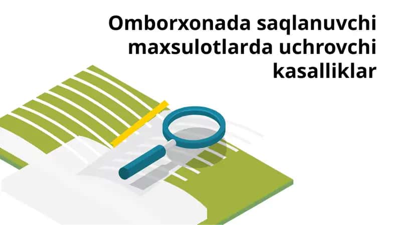 Omborxonada saqlanuvchi  maxsulotlarda uchrovchi kasalliklar 1