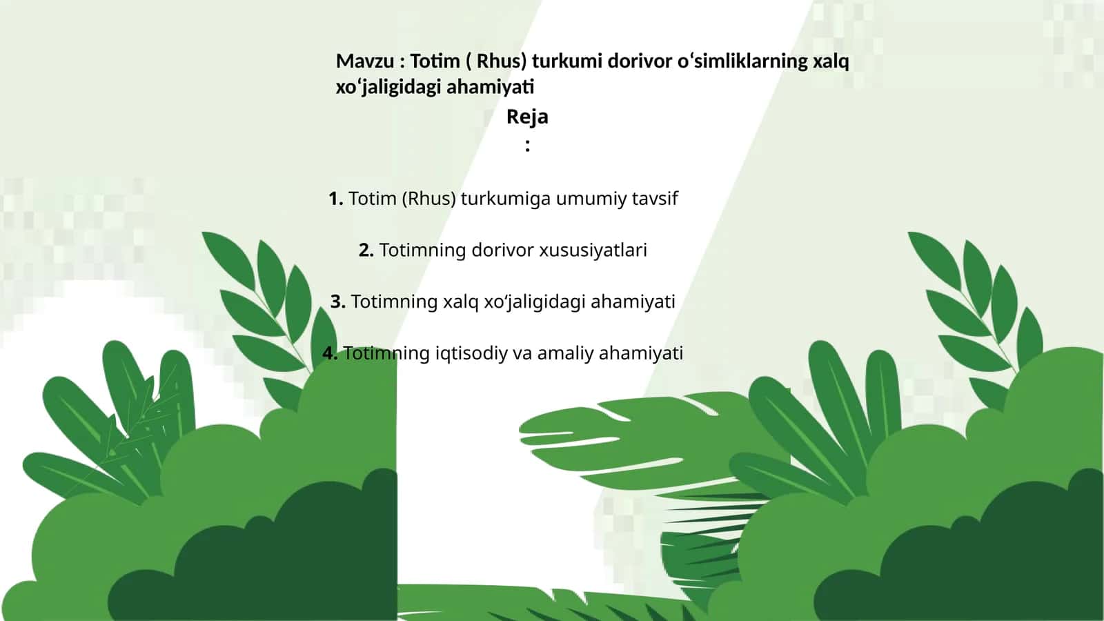 Totim ( Rhus) turkumi dorivor o‘simliklarning xalq xo‘jaligidagi ahamiyati 1