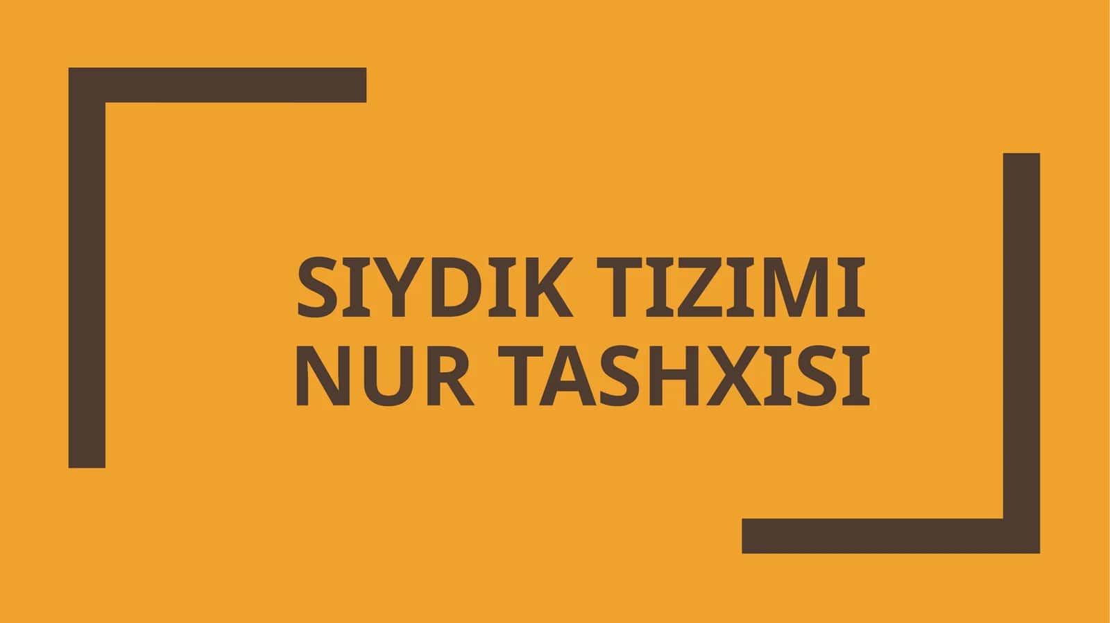Siydik tizimi nur tashxisi 1