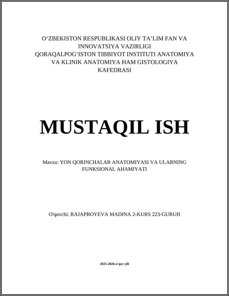 YON QORINCHALAR ANATOMIYASI VA ULARNING FUNKSIONAL AHAMIYATI 1