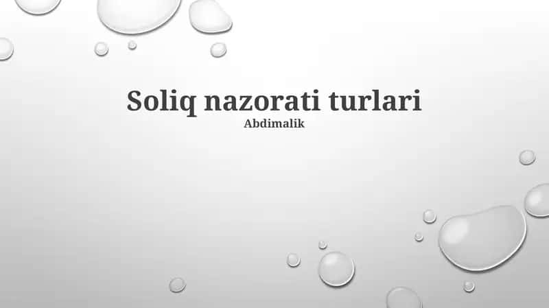 Soliq nazorati turlari 1