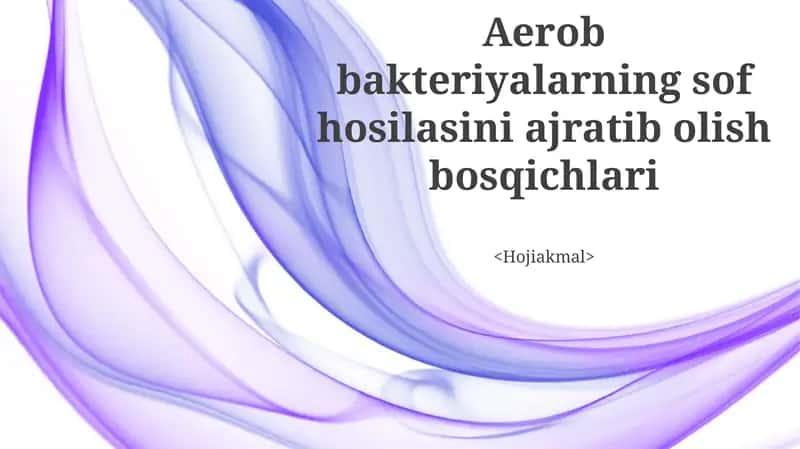 Aerob bakteriyalarning sof hosilasini ajratib olish bosqichlari 1