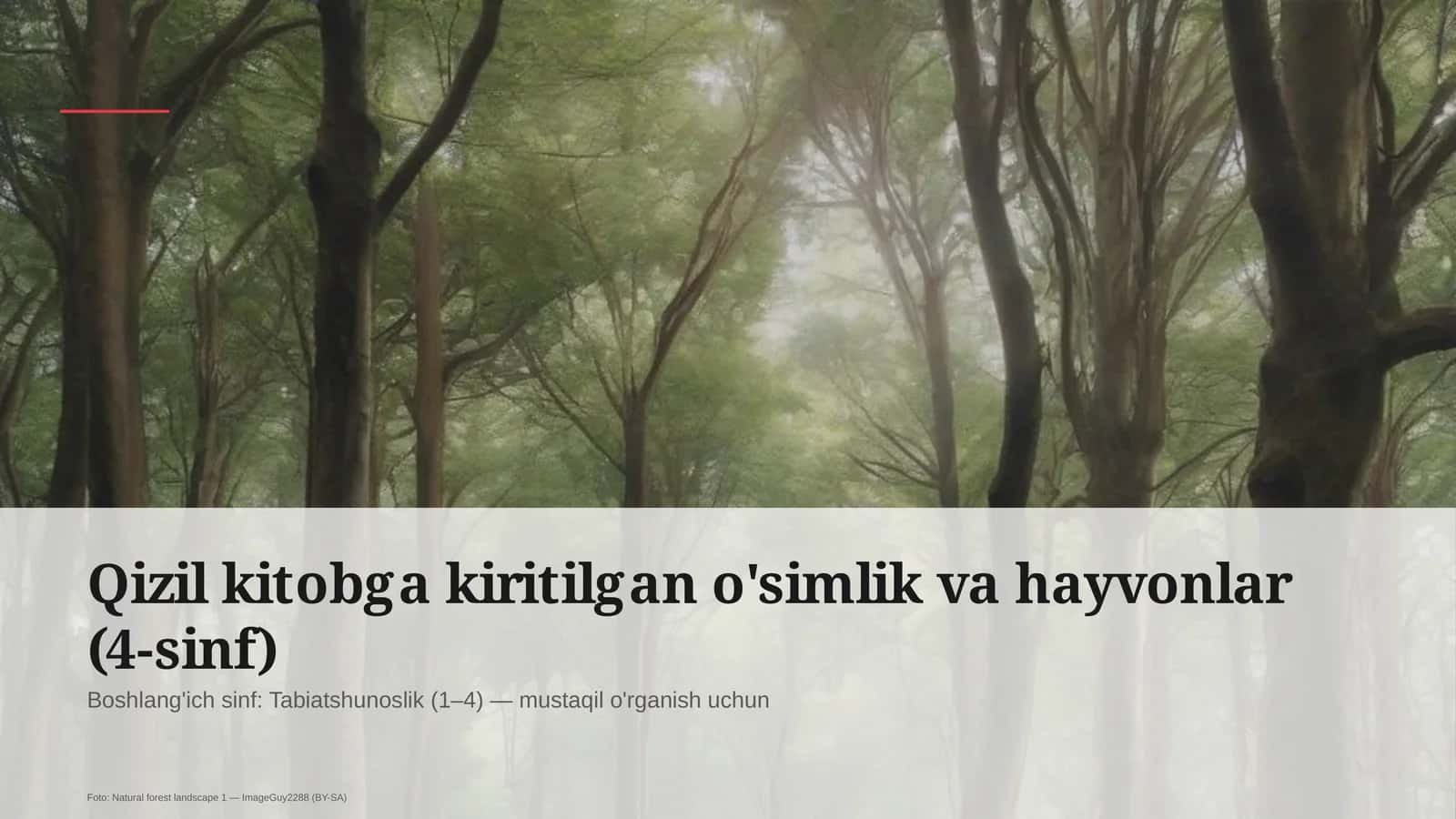 Qizil kitobga kiritilgan o'simlik va hayvonlar (4-sinf) 1