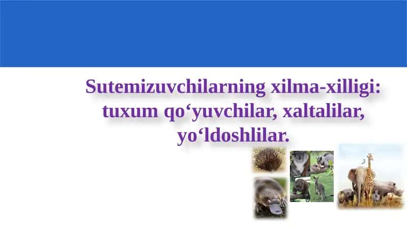 DARS REJASI 1
