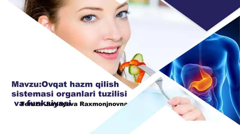 Ovqat hazm qilish sistemasi organlari tuzilisi va funksiyasi 1