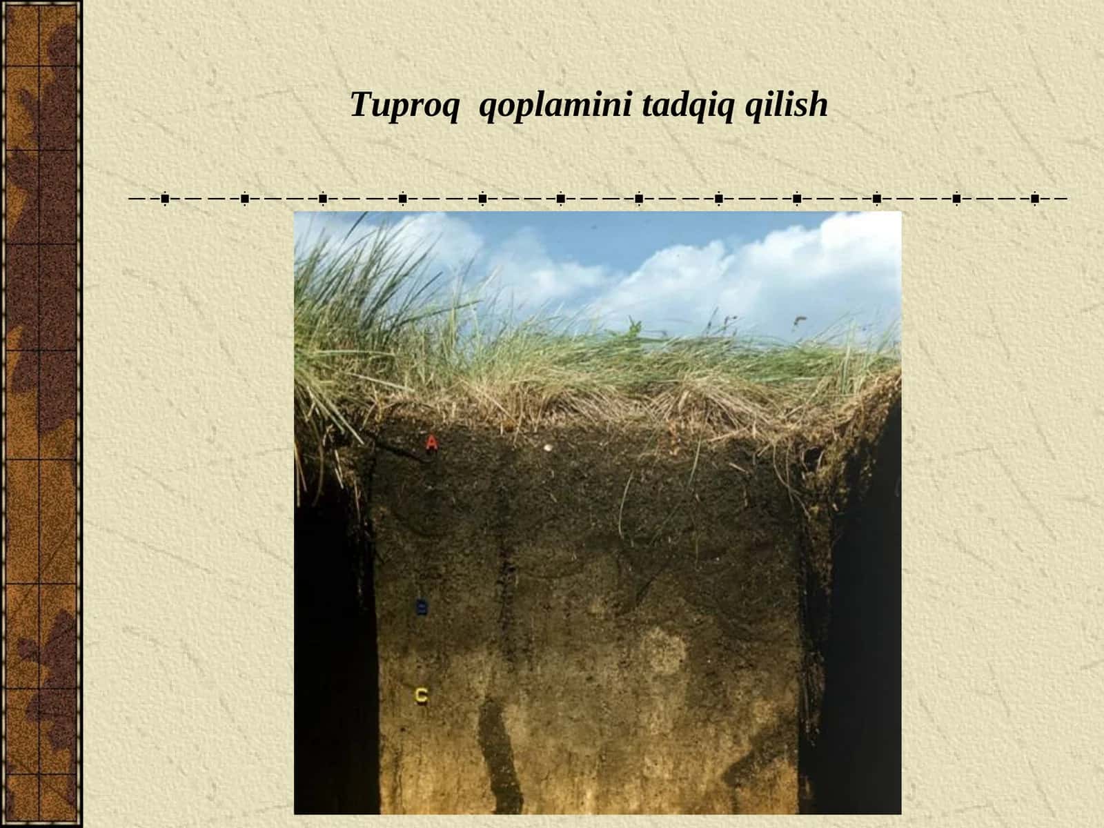 Tuproq qoplamini tadqiqqilish 1